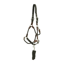 Load image into Gallery viewer, Huntley Nylon Halter and Removable Lead with Snap, Black
