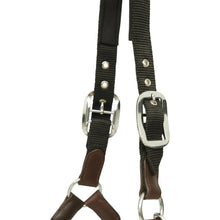 Load image into Gallery viewer, Huntley Nylon Halter and Removable Lead with Snap, Black
