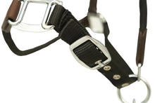 Load image into Gallery viewer, Huntley Nylon Halter and Removable Lead with Snap, Black
