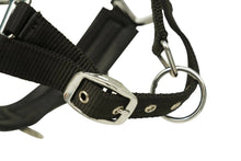 Load image into Gallery viewer, Huntley Nylon Padded Lunging Caveson, Black
