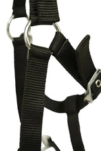 Load image into Gallery viewer, Huntley Nylon Padded Lunging Caveson, Black
