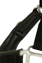 Load image into Gallery viewer, Huntley Nylon Padded Lunging Caveson, Black
