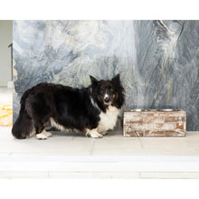 Load image into Gallery viewer, Huntley Pet Elevated Dog and Cat Double Bowl Feeder
