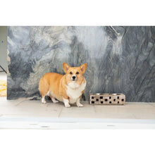 Load image into Gallery viewer, Huntley Pet Elevated Dog and Cat Double Bowl Feeder
