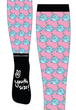 Load image into Gallery viewer, Dreamers &amp; Schemers YOUTH Boot Socks

