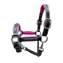 Load image into Gallery viewer, Padded Halter

