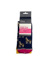 Load image into Gallery viewer, 🎁Shires Everyday Kids Socks
