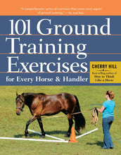 Load image into Gallery viewer, 🎁101 Ground Training Exercises
