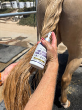 Load image into Gallery viewer, Pure Morocco Argan Oil Shampoo
