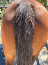 Load image into Gallery viewer, Mane &amp; Tail Detangling Spray Calendula &amp; Chamomile - The Ultimate

