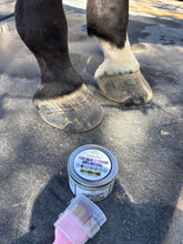 Load image into Gallery viewer, Hoof Balm Hydrator 100% Natural with Brush Applicator  5 oz
