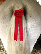 Load image into Gallery viewer, Pony Tails
