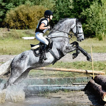 Load image into Gallery viewer, Color Elite XC Boot with ARTi-LAGE Technology (hind)
