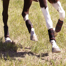 Load image into Gallery viewer, Color Elite XC Boot with ARTi-LAGE Technology (Front)
