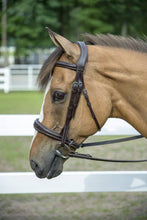 Load image into Gallery viewer, Henri de Rivel Pro Mono-Crown Padded Wide Noseband Bridle
