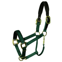 Load image into Gallery viewer, Premium Padded Nylon Breakaway Halter
