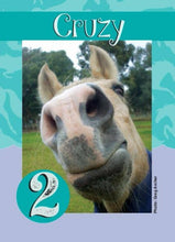 Load image into Gallery viewer, Horse Card Game: Go Graze Card Game
