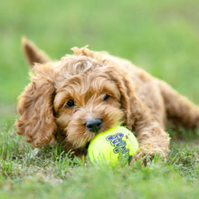 Load image into Gallery viewer, DS26 Air KONG Squeaker Tennis Balls for Dogs
