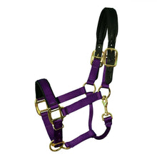 Load image into Gallery viewer, Premium Padded Nylon Breakaway Halter
