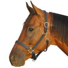 Load image into Gallery viewer, 1" Triple Stitched Halter w/Solid Brass Hardware
