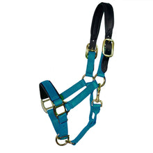 Load image into Gallery viewer, Premium Padded Nylon Breakaway Halter
