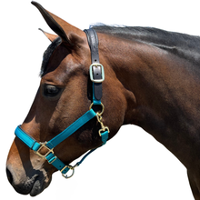 Load image into Gallery viewer, Premium Padded Nylon Breakaway Halter
