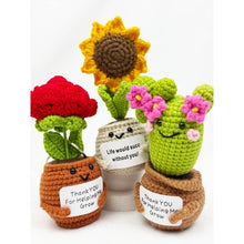 Load image into Gallery viewer, 🎁Positive Crochet Potted Succulent
