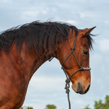 Load image into Gallery viewer, DS26 Cashel Beaded Patterned Rope Halter with 9 ft Lead
