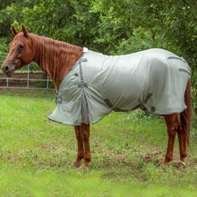 Load image into Gallery viewer, DS26 Cashel Economy Standard Neck Fly Sheet for Horses - Lightweight, UV &amp; Insect Protection
