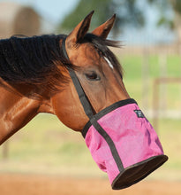 Load image into Gallery viewer, DS26 Cashel Feed Rite Bag
