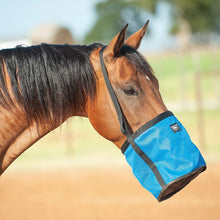 Load image into Gallery viewer, DS26 Cashel Feed Rite Bag
