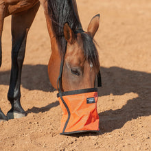 Load image into Gallery viewer, DS26 Cashel Feed Rite Bag
