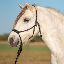Load image into Gallery viewer, DS26 Cashel Flat Braid Pony Halter
