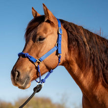 Load image into Gallery viewer, DS26 Cashel Nylon and Rope Halter
