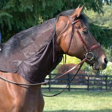 Load image into Gallery viewer, DS26 Cashel Quiet Ride Hood for Horses, Lightweight Fly Protection Hood
