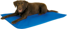 Load image into Gallery viewer, DS26 K&amp;H Cool Bed III for Dogs

