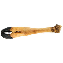 Load image into Gallery viewer, DS26 Dogginstix Beef Foot Dog Chew – Four Treats in One, Ideal for Small to Medium Dogs
