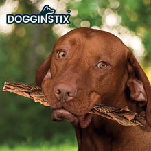 Load image into Gallery viewer, DS26 Dogginstix Braided Beef Tripe Natural Dog Chew – Digestible, Nutrient Rich, Omega 3
