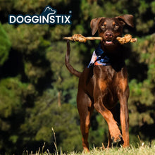 Load image into Gallery viewer, DS26 Dogginstix Braided Lamb Collagen Double Knot Dog Chew – Natural, Grass-Fed, Low Fat Treat
