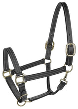Load image into Gallery viewer, Henri de Rivel Triple Stitched Halter
