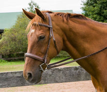 Load image into Gallery viewer, Henri de Rivel Pro Mono Crown Bridle with Padded Wide Noseband and Laced Reins
