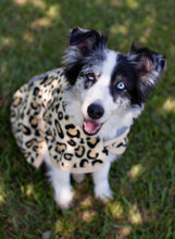 Load image into Gallery viewer, Jeffers Expression Moisture-Wicking Fleece Dog Coat

