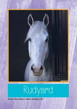 Load image into Gallery viewer, Horse Card Game: Old Nag Horse Card Game
