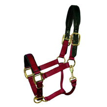 Load image into Gallery viewer, Premium Padded Nylon Breakaway Halter
