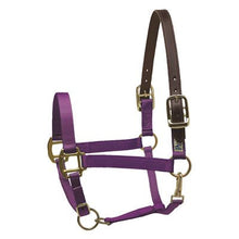 Load image into Gallery viewer, Safety Halter DRAFT
