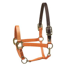 Load image into Gallery viewer, Safety Halter HORSE
