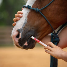 Load image into Gallery viewer, DS26 Jeffers Ivermectin Horse Dewormer Gel, Apple Flavored
