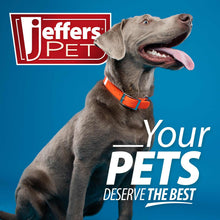 Load image into Gallery viewer, Jeffers BELLY BUDDY Probiotic Supplement Powder for Dogs – Multi-Strain Digestive &amp; Immune Support
