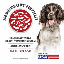 Load image into Gallery viewer, Jeffers BELLY BUDDY Probiotic Supplement Powder for Dogs – Multi-Strain Digestive &amp; Immune Support
