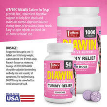 Load image into Gallery viewer, DS26 Jeffers Diawin Digestive Support for Dogs - Bismuth Tummy Relief for Diarrhea

